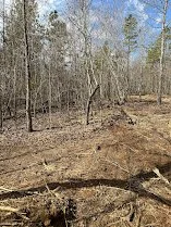 Forestry-Mulching-After-Fredericktown-MO (2).JPG