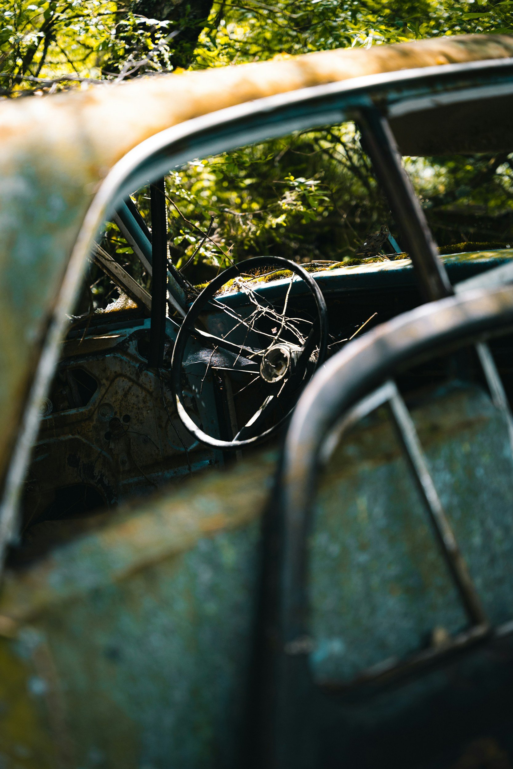An old rusted car overgrown with moss and surrounded by green bushes and trees.