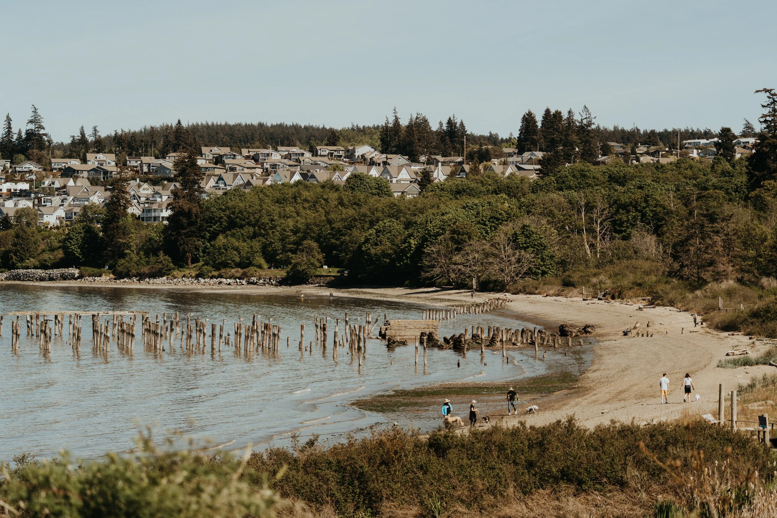 san-juan-islands_1.jpg