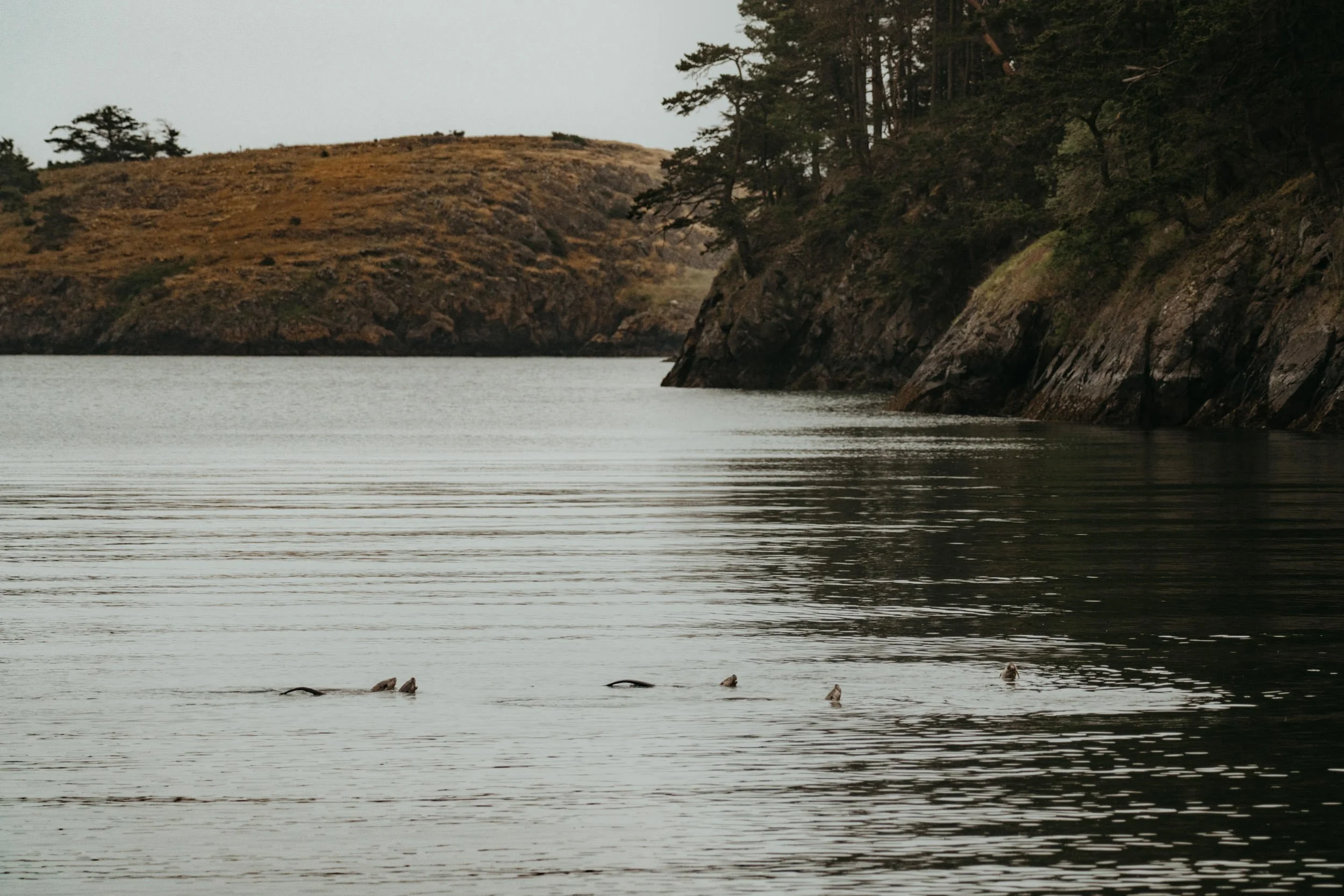 san-juan-islands_35.jpg