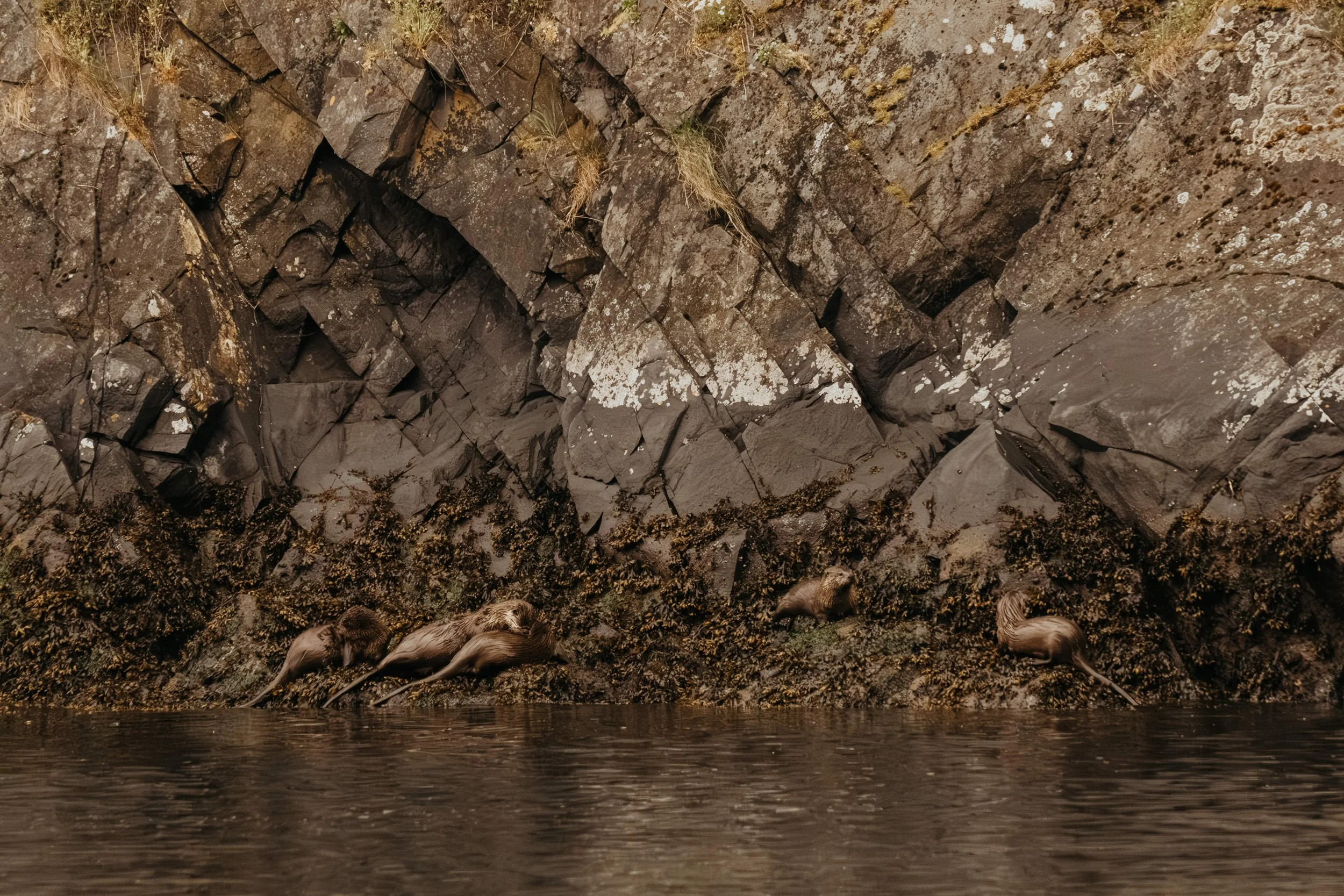 san-juan-islands_37.jpg