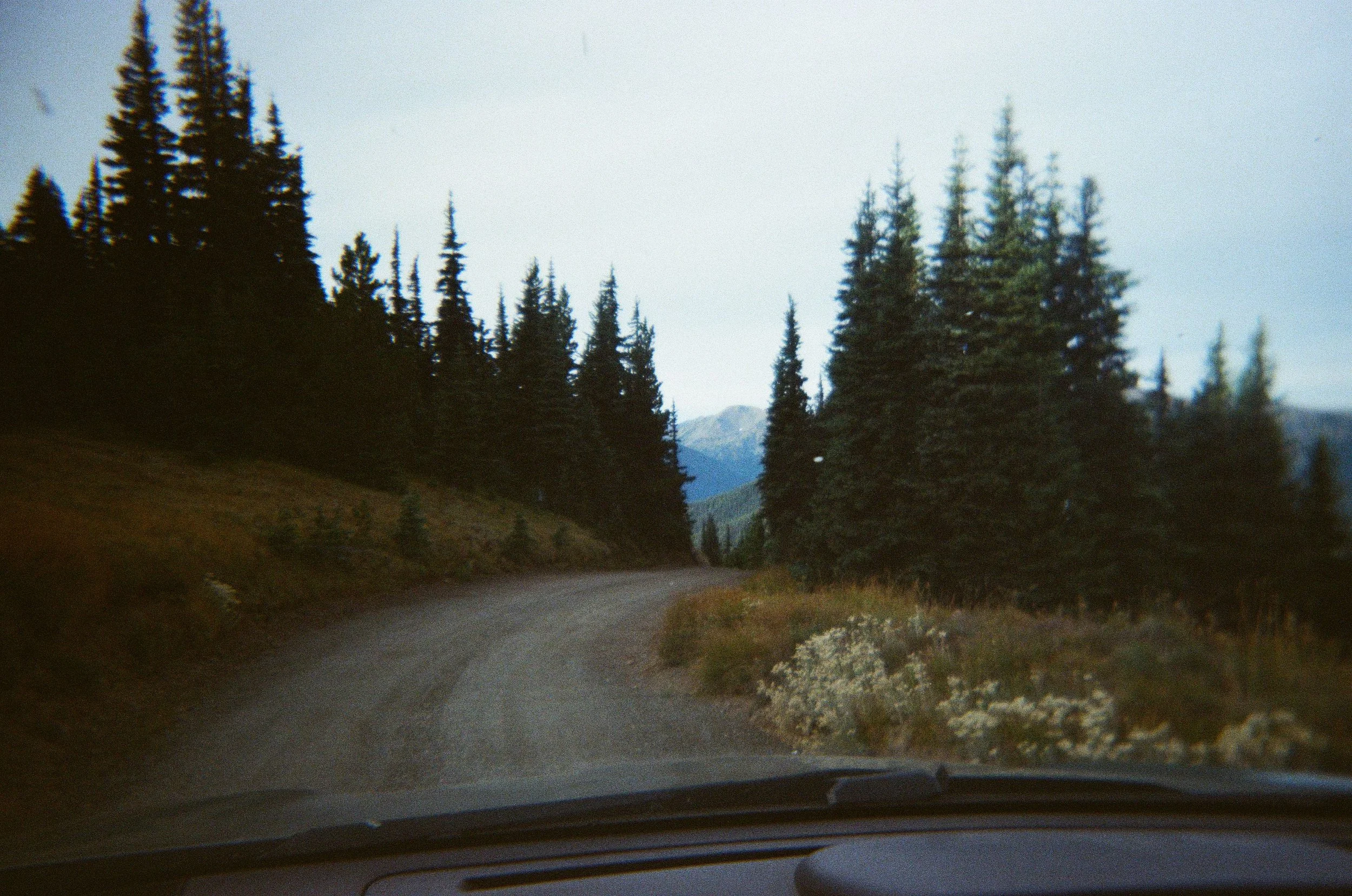 A dirt road winding through a forested mountainous area, viewed from inside a vehicle.