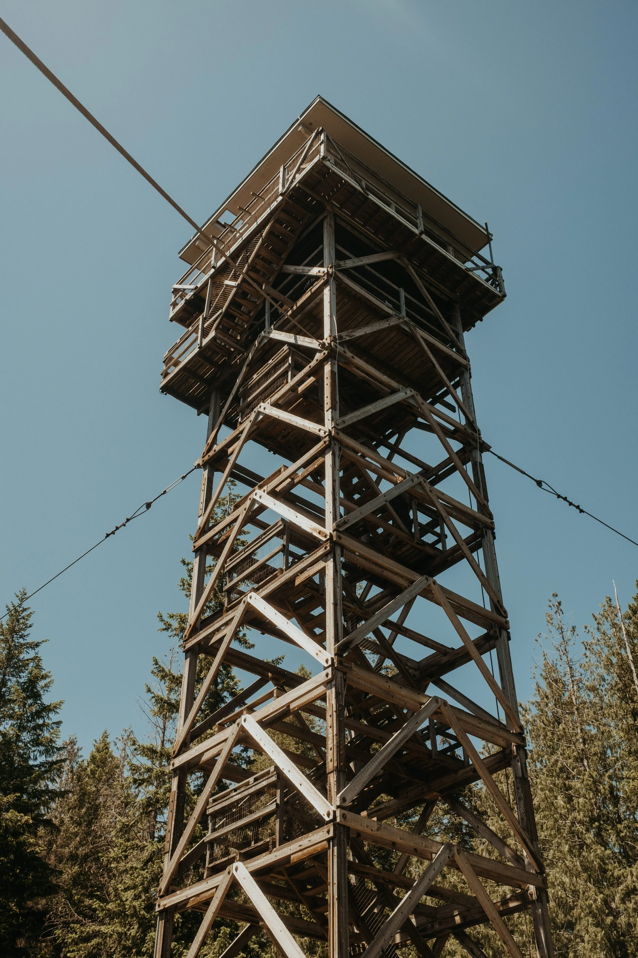 A tall wooden observation tower with multiple platforms and stairs, set against a clear blue sky and surrounded by trees.