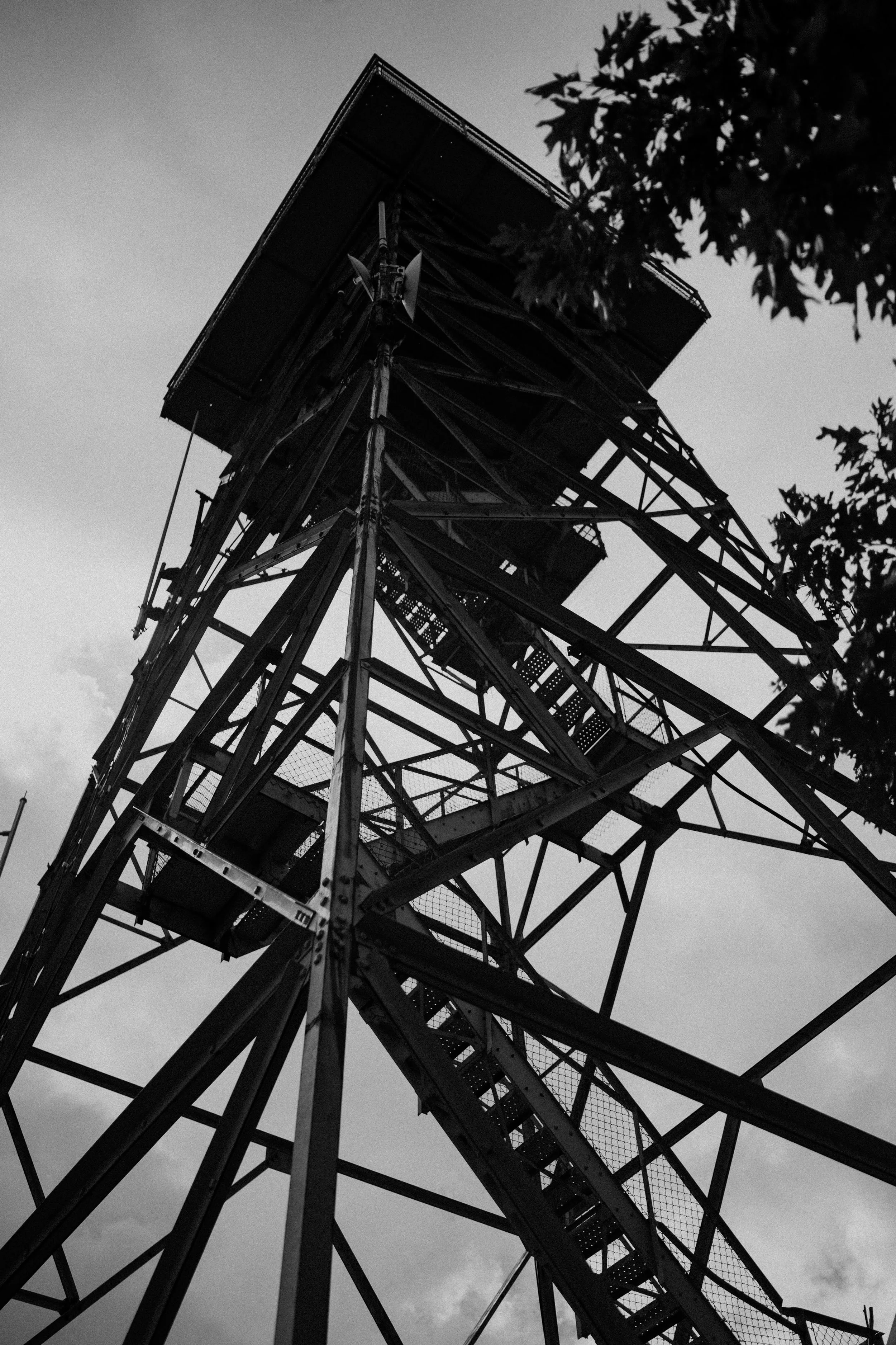 Black and white photo of a tall metal fire lookout tower with stairs, trees are visible in the foreground.