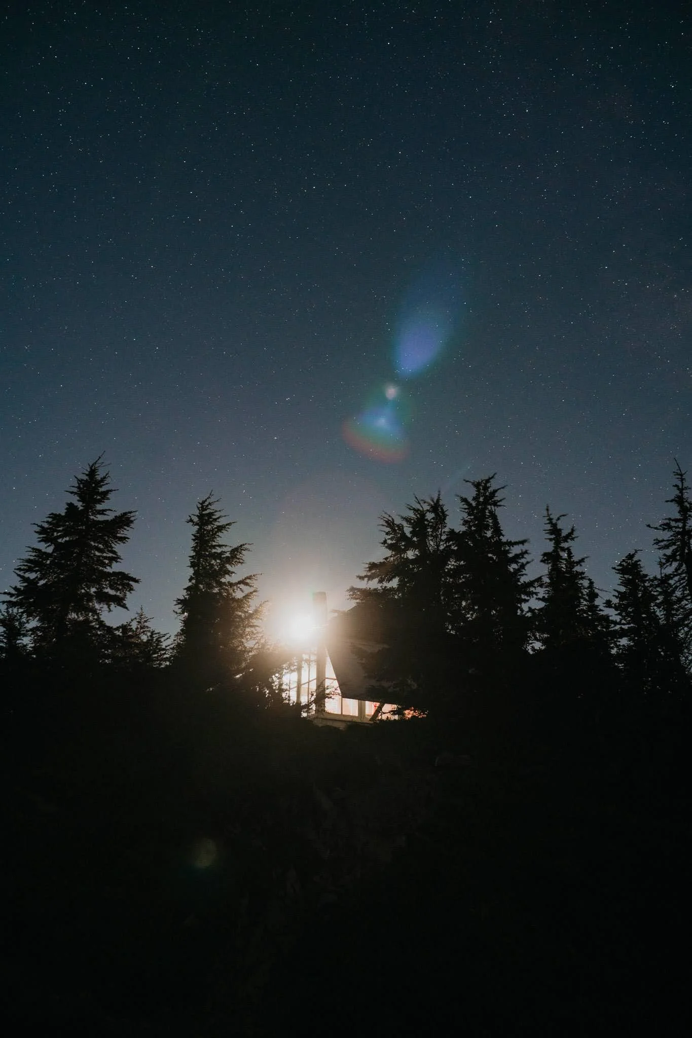 Night sky filled with stars and lens flare from bright light source behind trees, with silhouettes of trees and a house in the foreground.