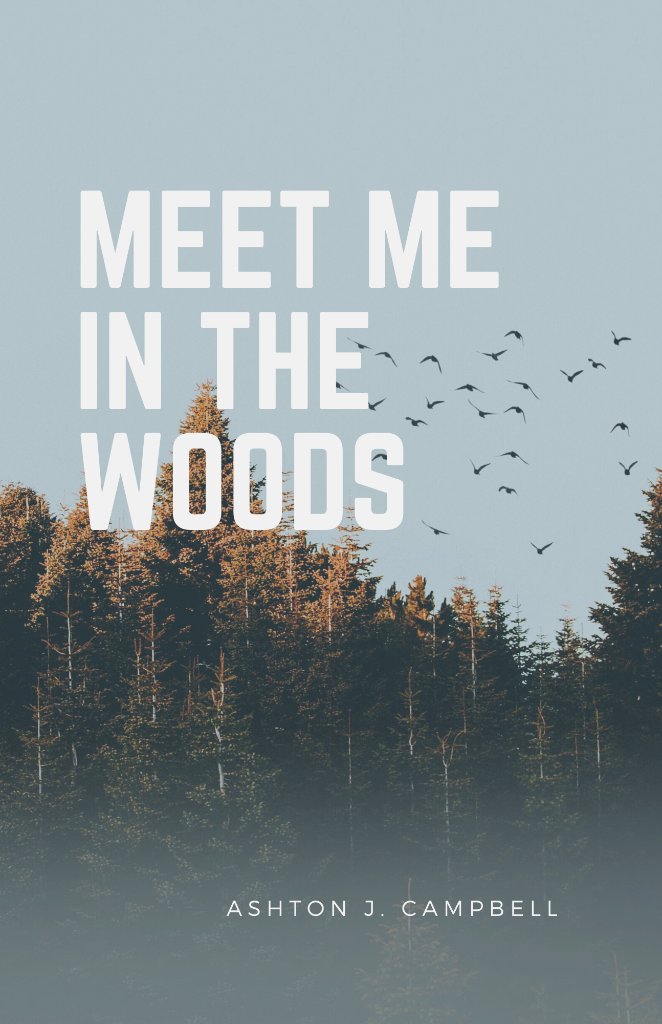 MEET ME IN THE WOODS.png
