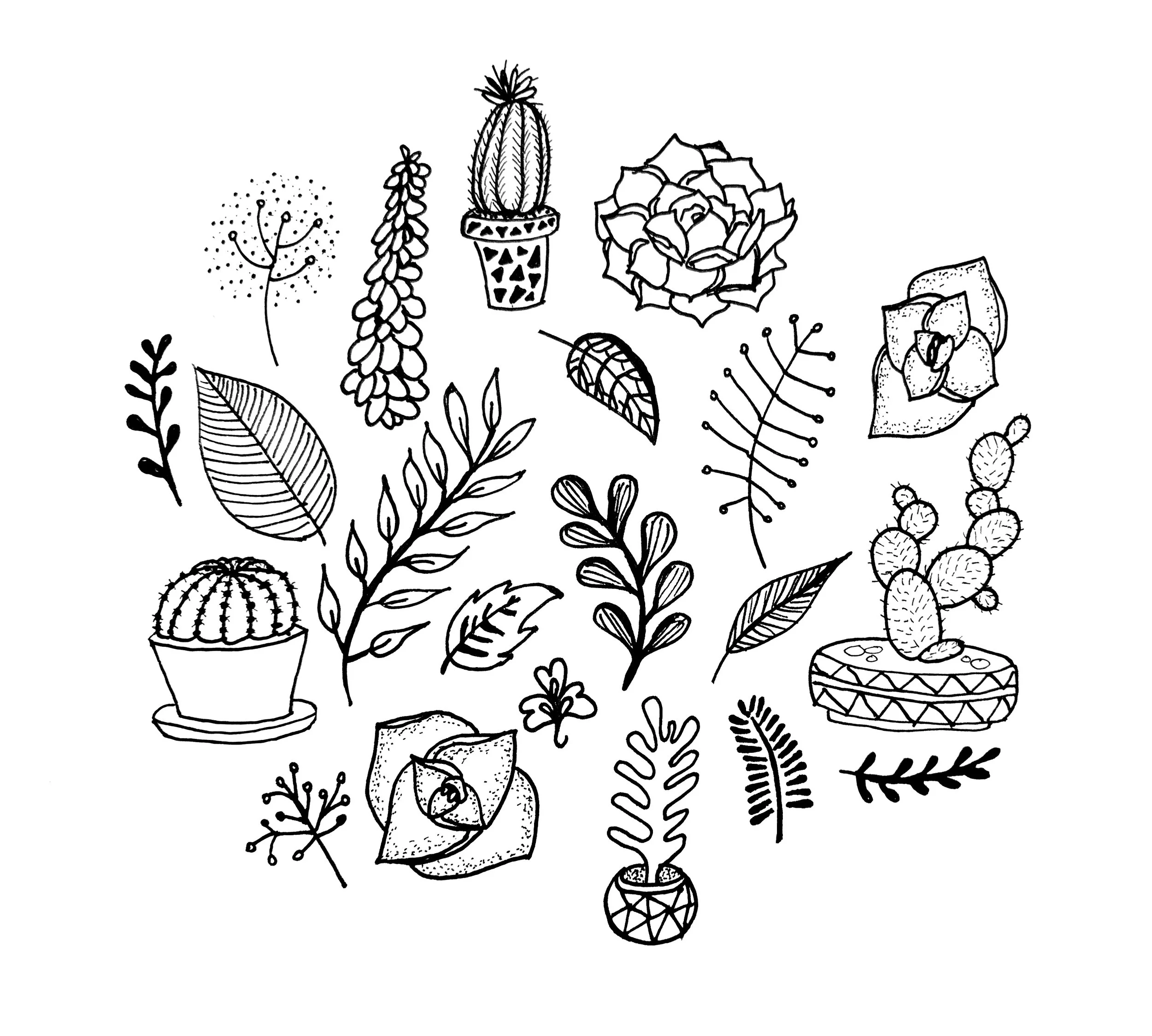 ashton-campbell-illustrations (46).jpg