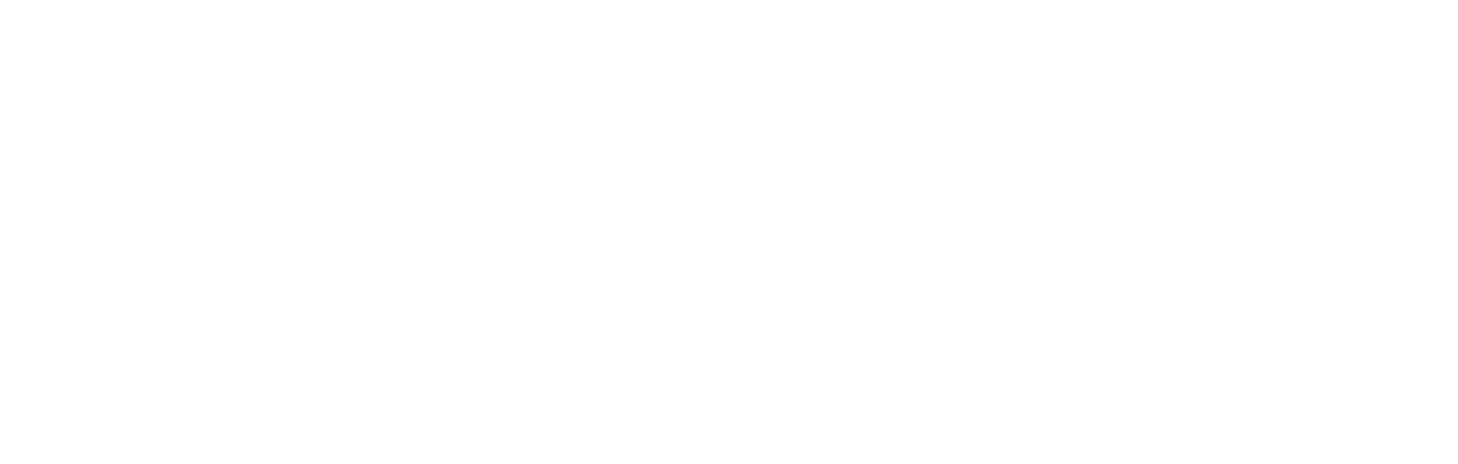 WLO — We Lead Out