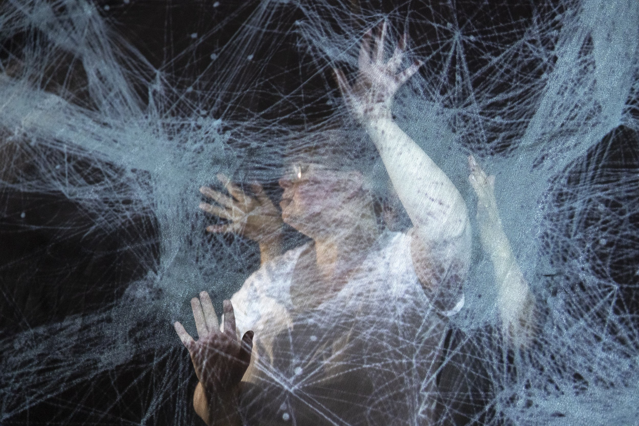 20250203 SEE_What the stars remember_photo by Laura Purcell_web-res_-6348.jpg