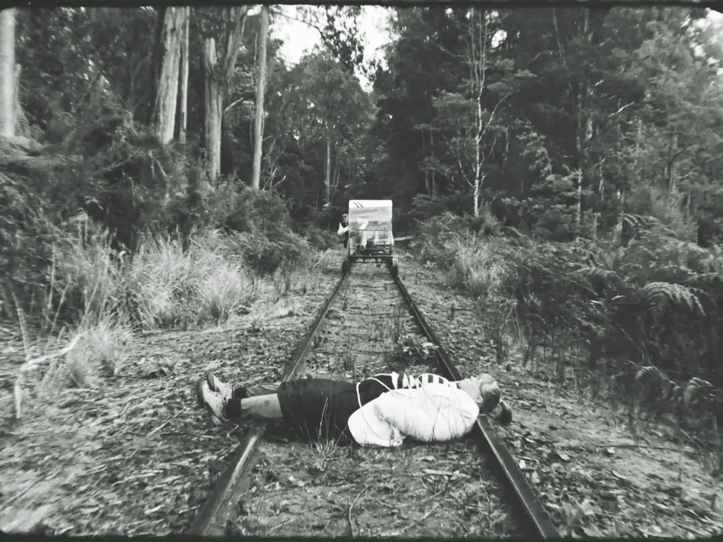 The Ecosystem of the Arts: Connection and Transformation