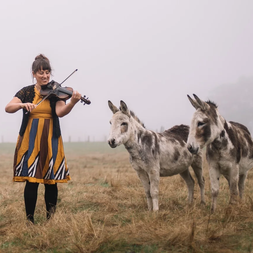 Rachel Meyers stands in a foggy field playing her violin, next to her stand two donkeys with white and brown spotted coats. 