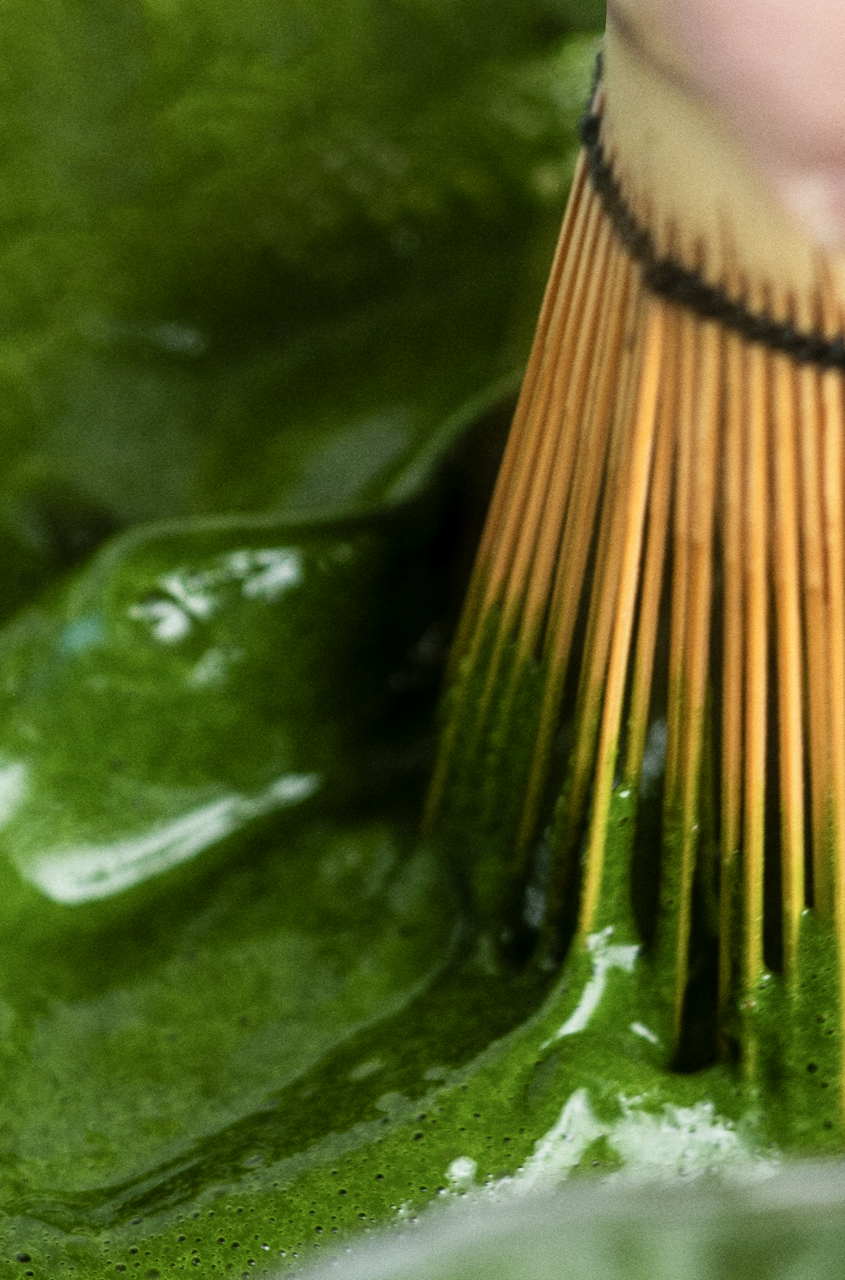 Studio88  - First Web Shoot - Feb 2026 -3637 Large.png