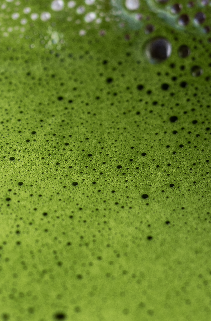 Studio88  - First Web Shoot - Feb 2026 -3647 Large.png