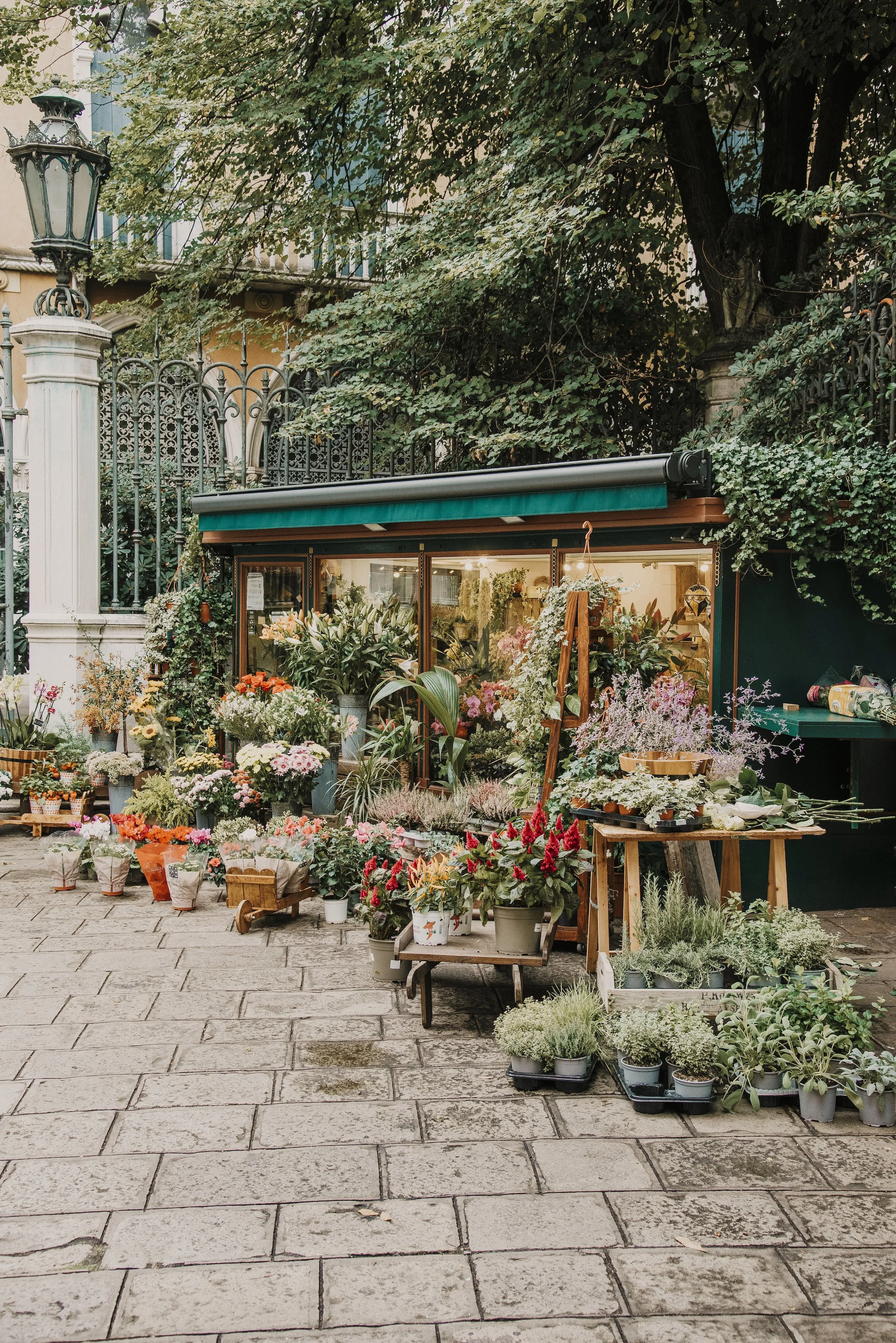 Botanical Boutique small.jpg