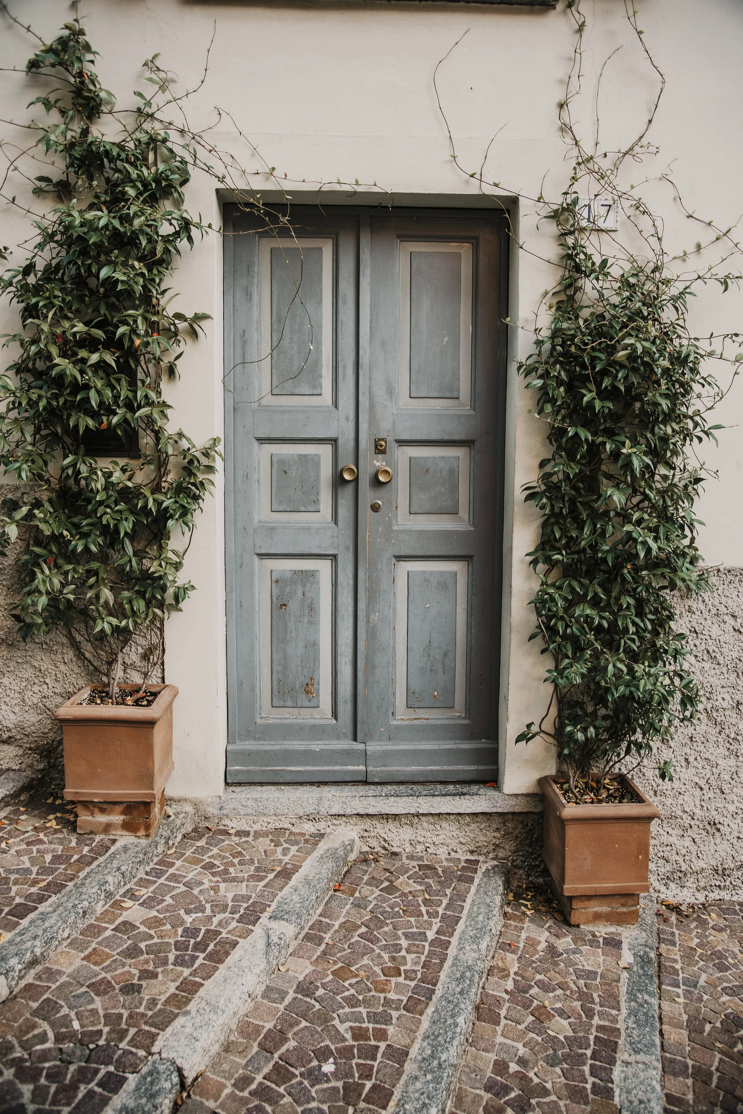The Quiet Entrance small.jpg
