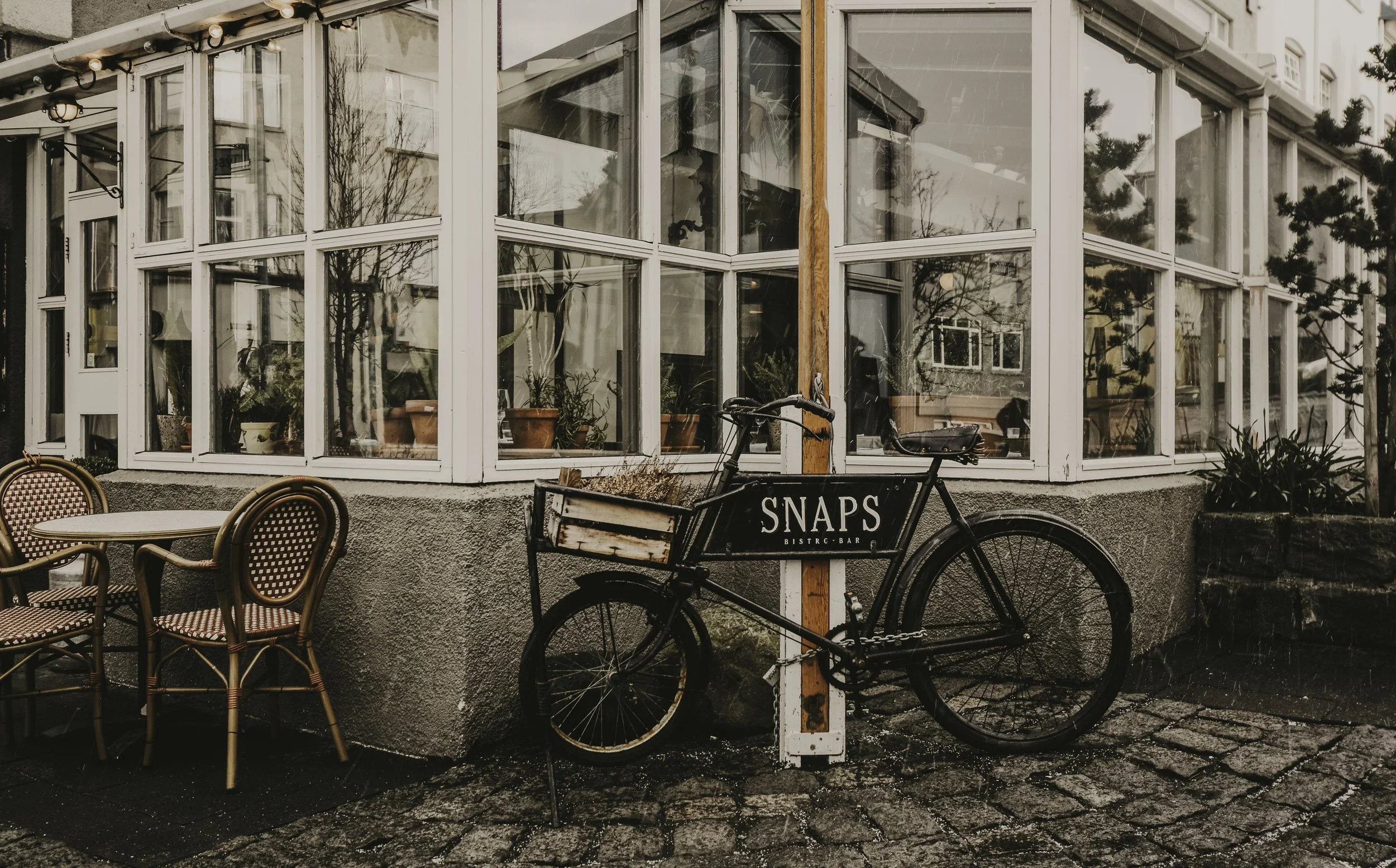 Where the Morning Waits.jpg