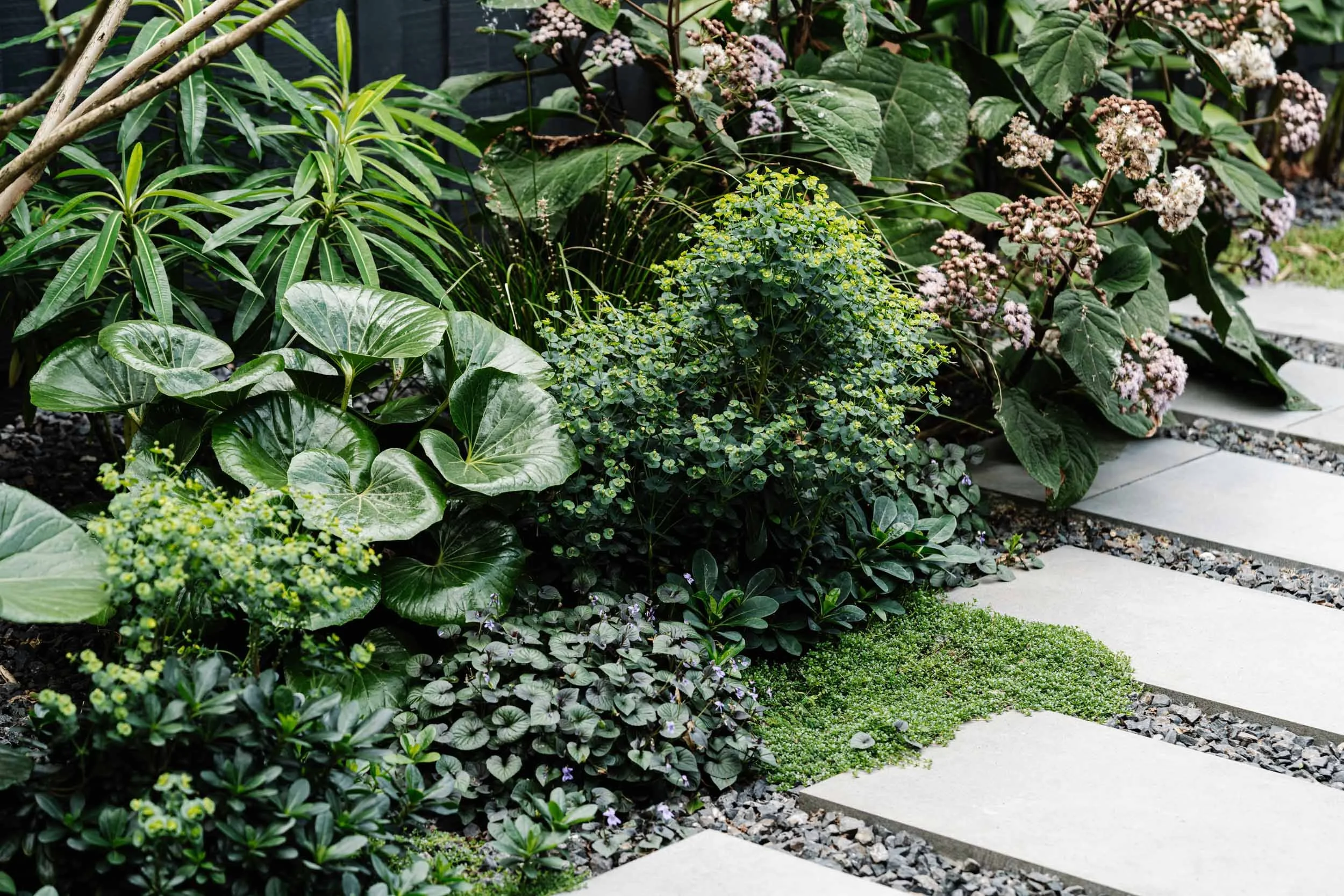 Suntrap House_low res-5.jpg