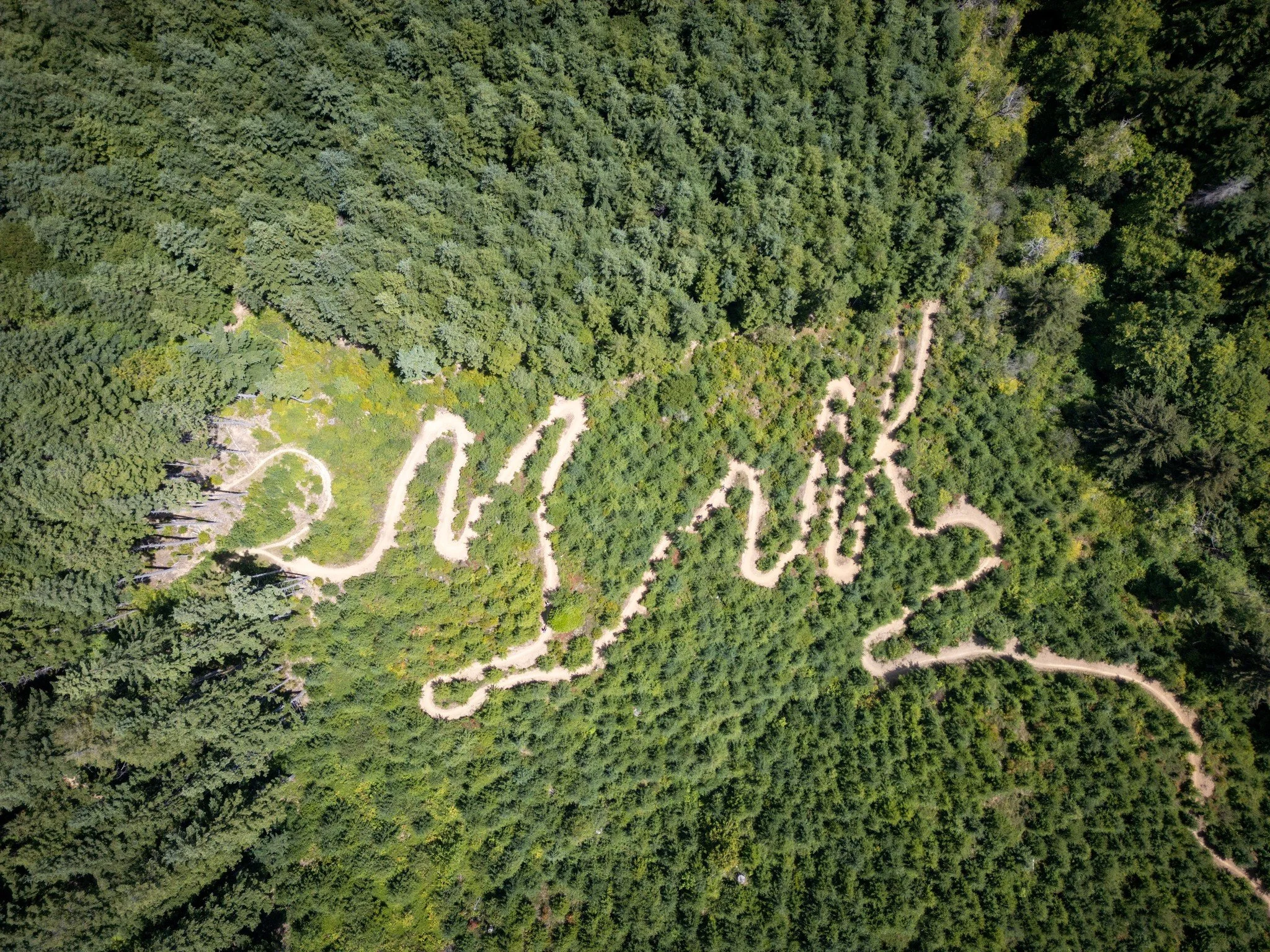 Trail Work Party - Brush Edition, Part Deux!