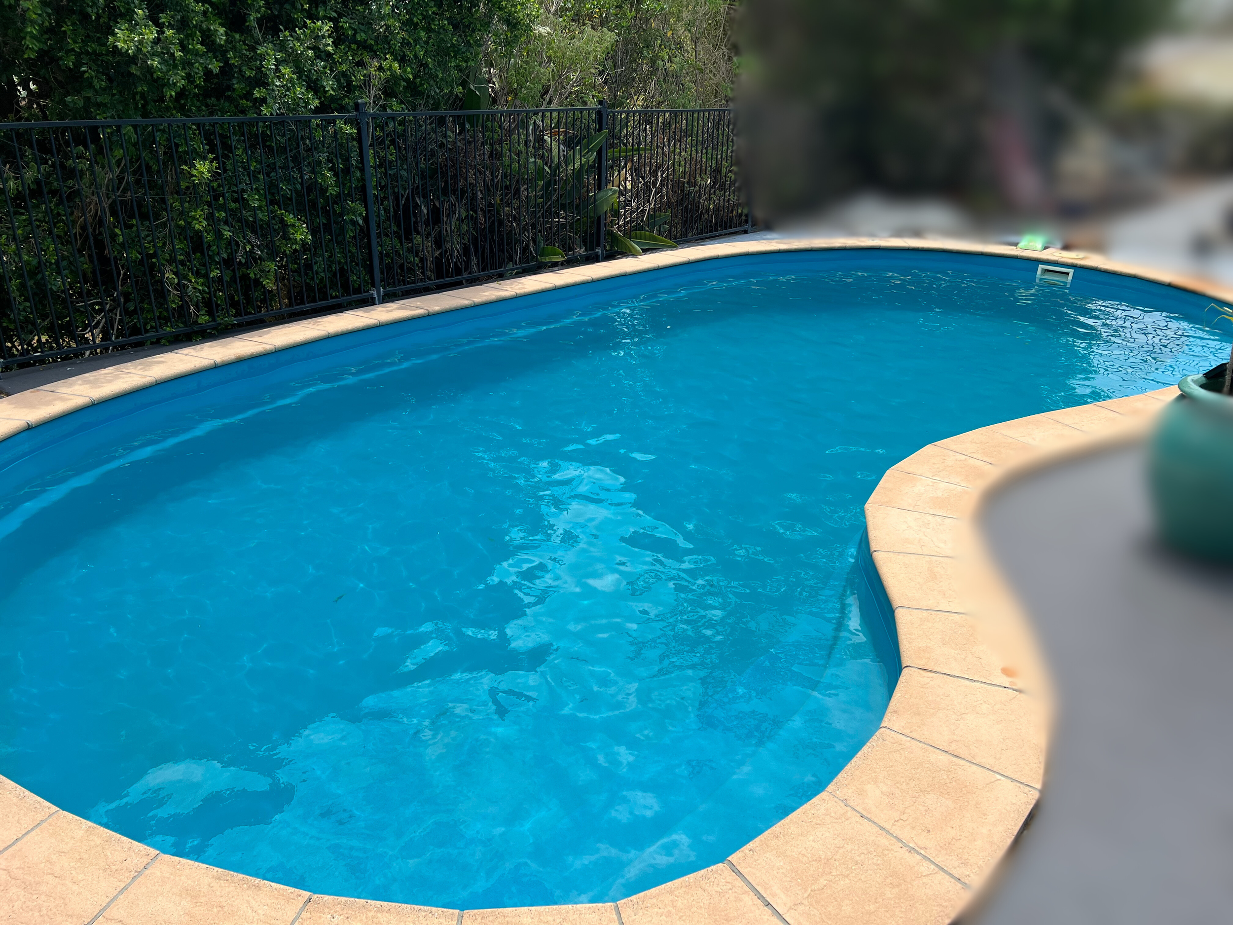 Untitled design (3).png