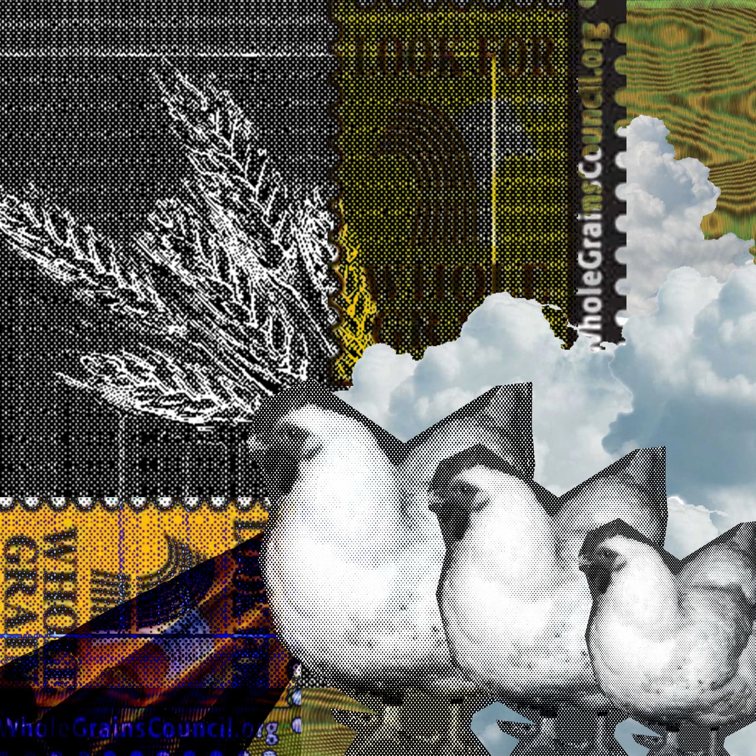 step6-3 copy.jpg