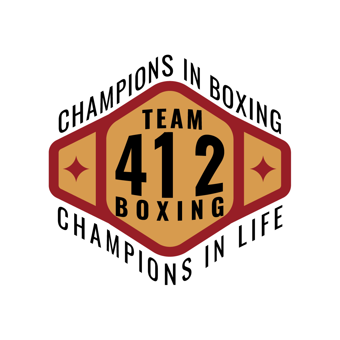 Team 412 Boxing