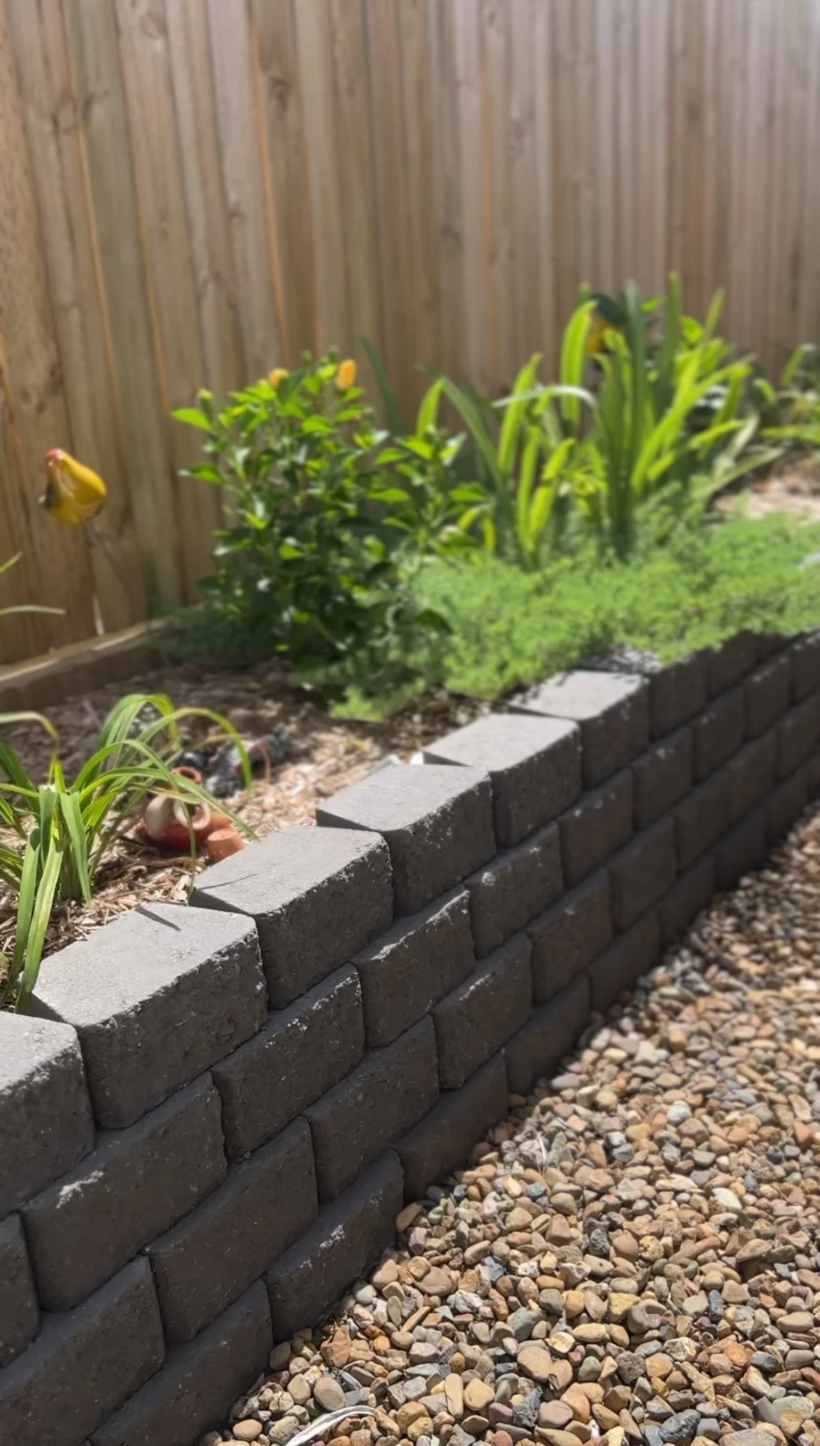 block retaining wall in Runaway Bay