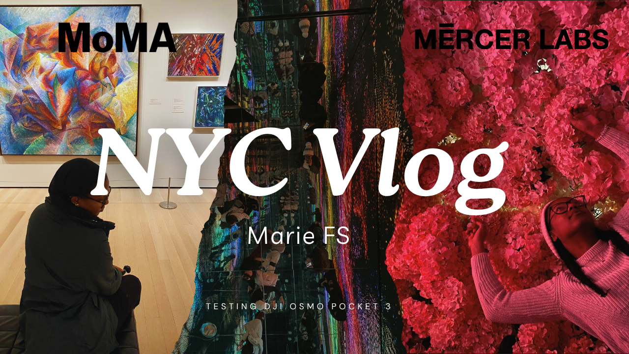 mariefs - NYC Jan 25 - YT Thumbnail.png