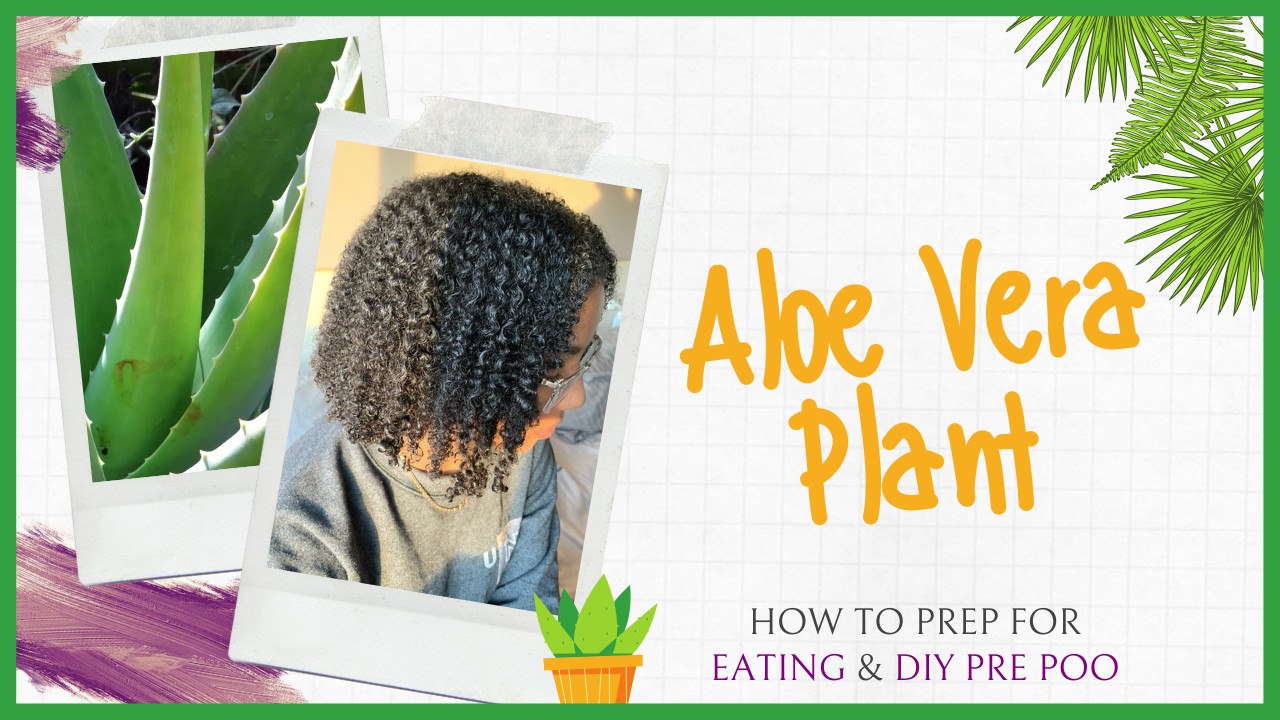 YT - Vid 2 Thumbnail (Aloe Pre Poo + Eat).png