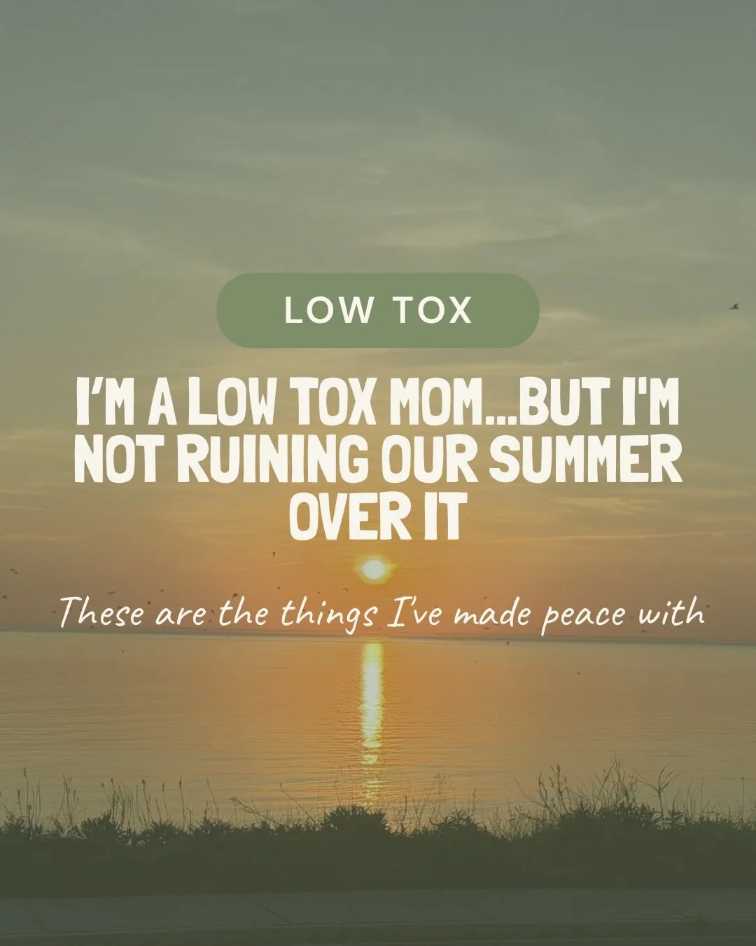 If your &ldquo;healthy lifestyle&rdquo; is making you anxious, isolated, or scared to enjoy life&hellip;it might be time to zoom out.

For our family, low tox has always been about progress, not perfection.
We try to make lower-tox choices at home wh