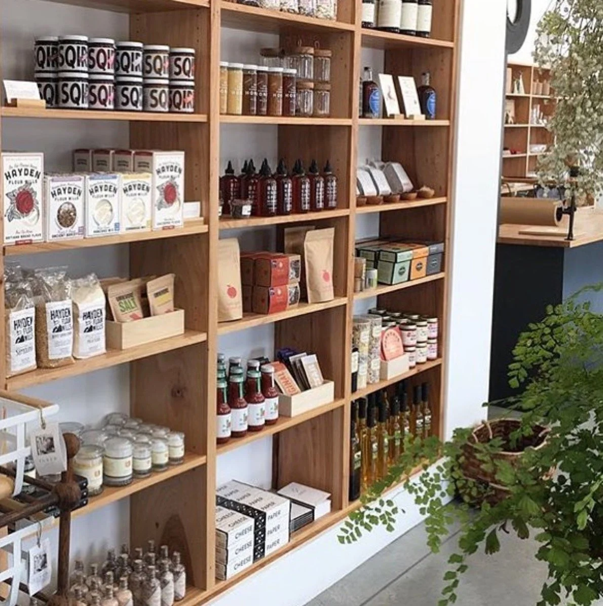 Screen Shot 2019-03-12 at 12.23.43 PM copy.jpeg