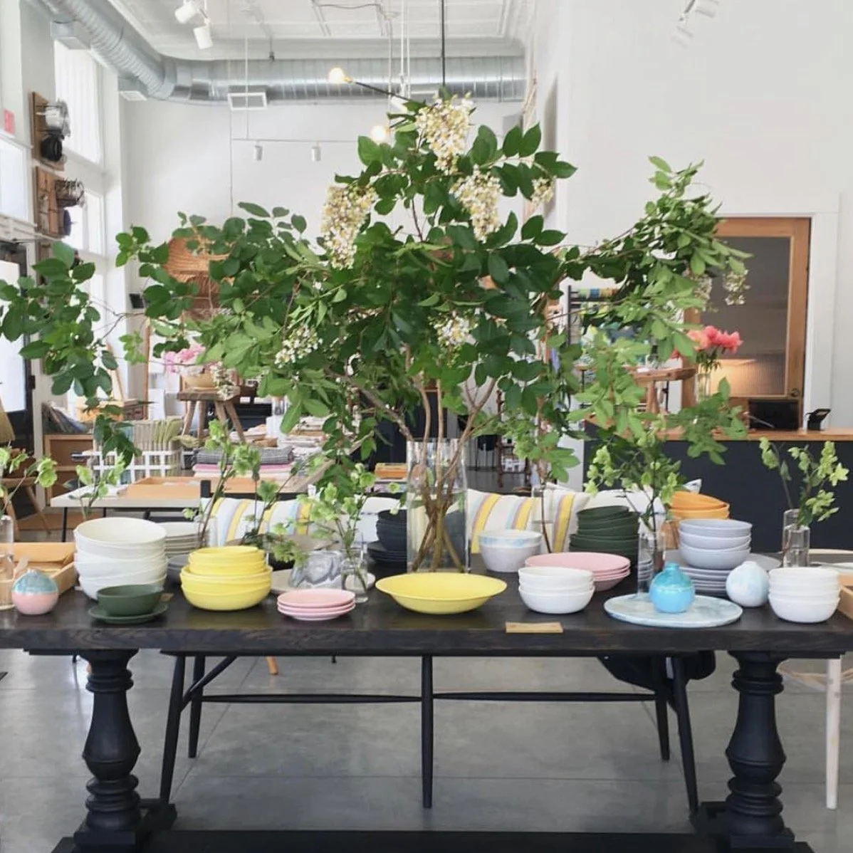 Screen Shot 2019-03-12 at 12.25.59 PM.jpeg