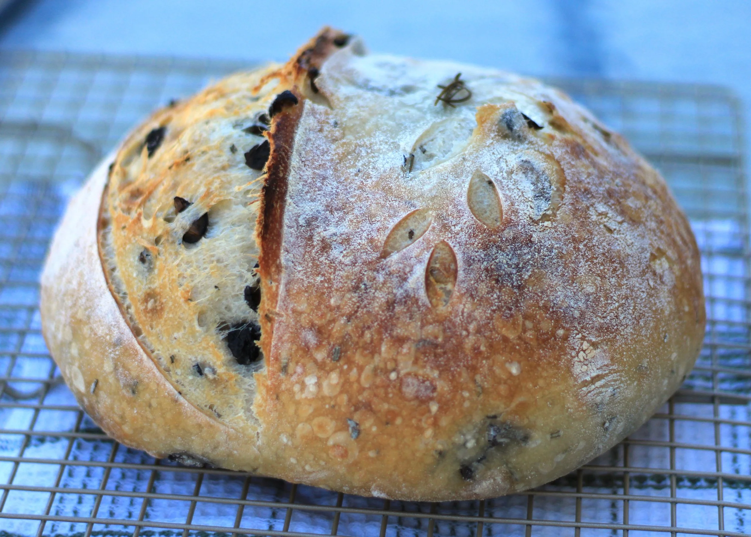 IMG_3618 cropped.JPG