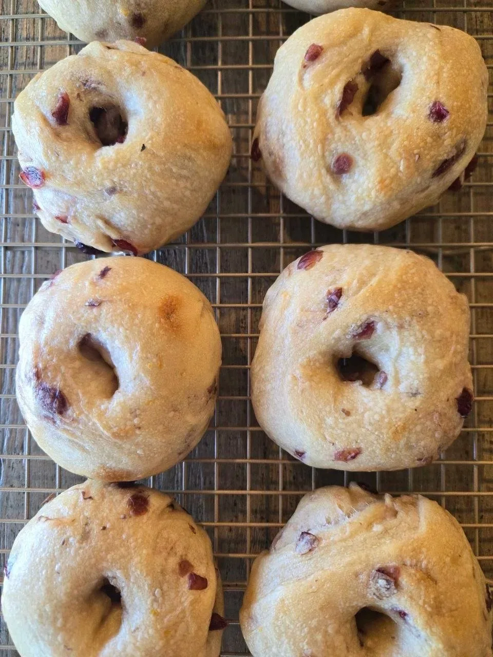 Cranberry Orange Sourdough Bagels
