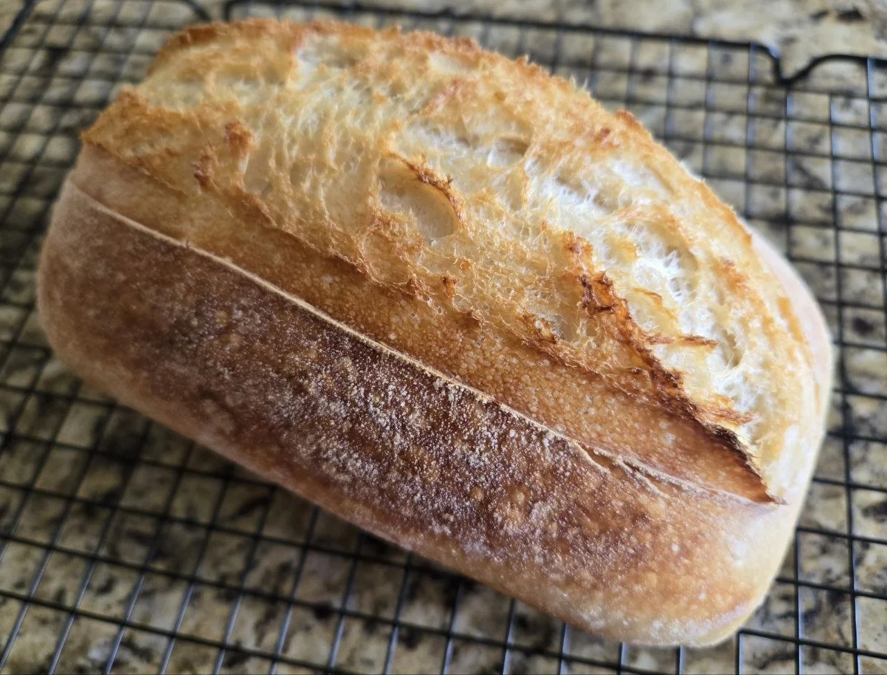 Classic Sourdough Bread