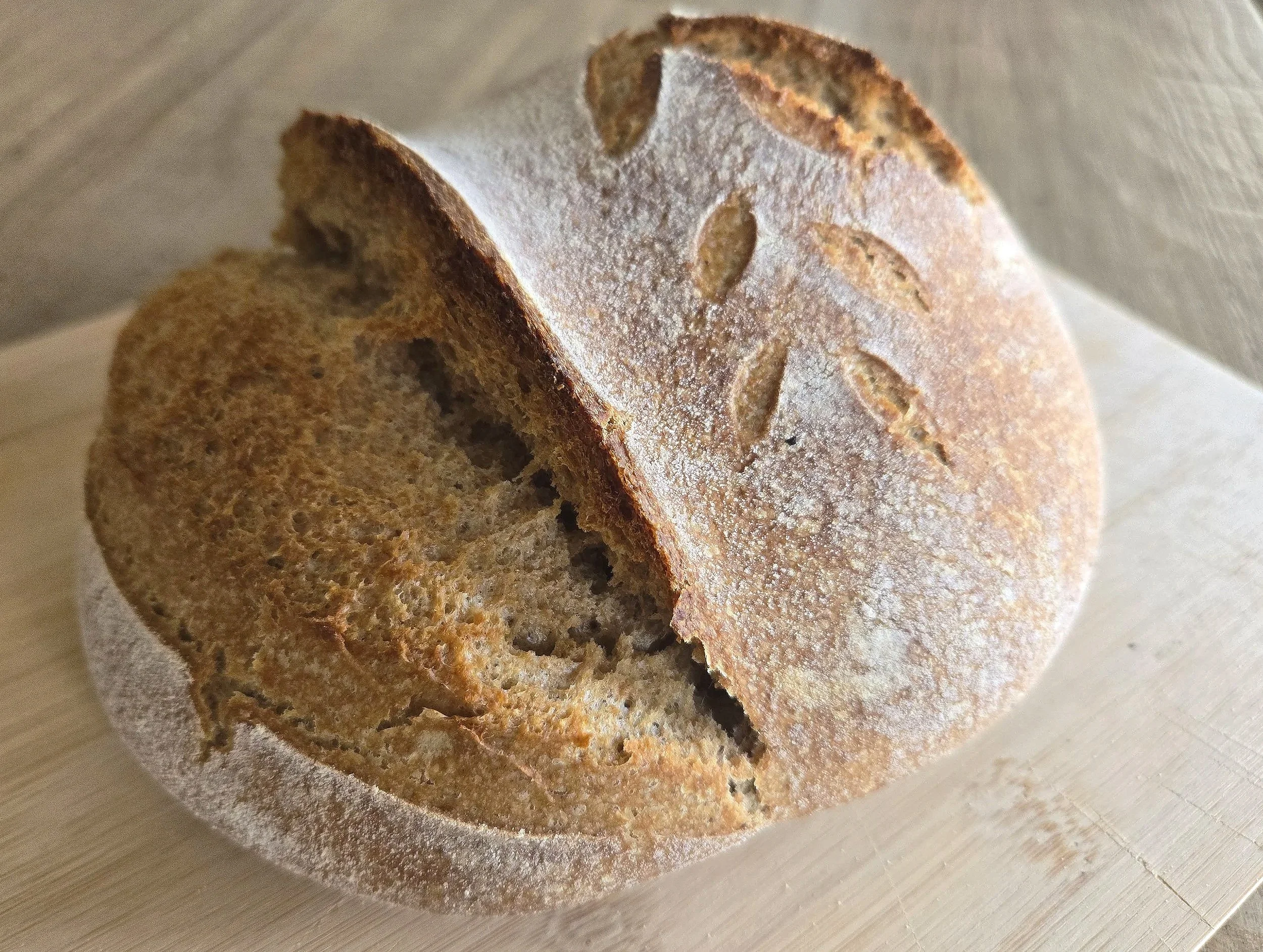 Whole Wheat Spelt Sourdough