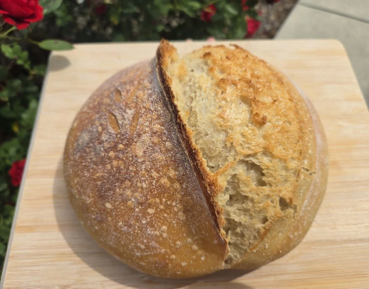White Spelt Sourdough