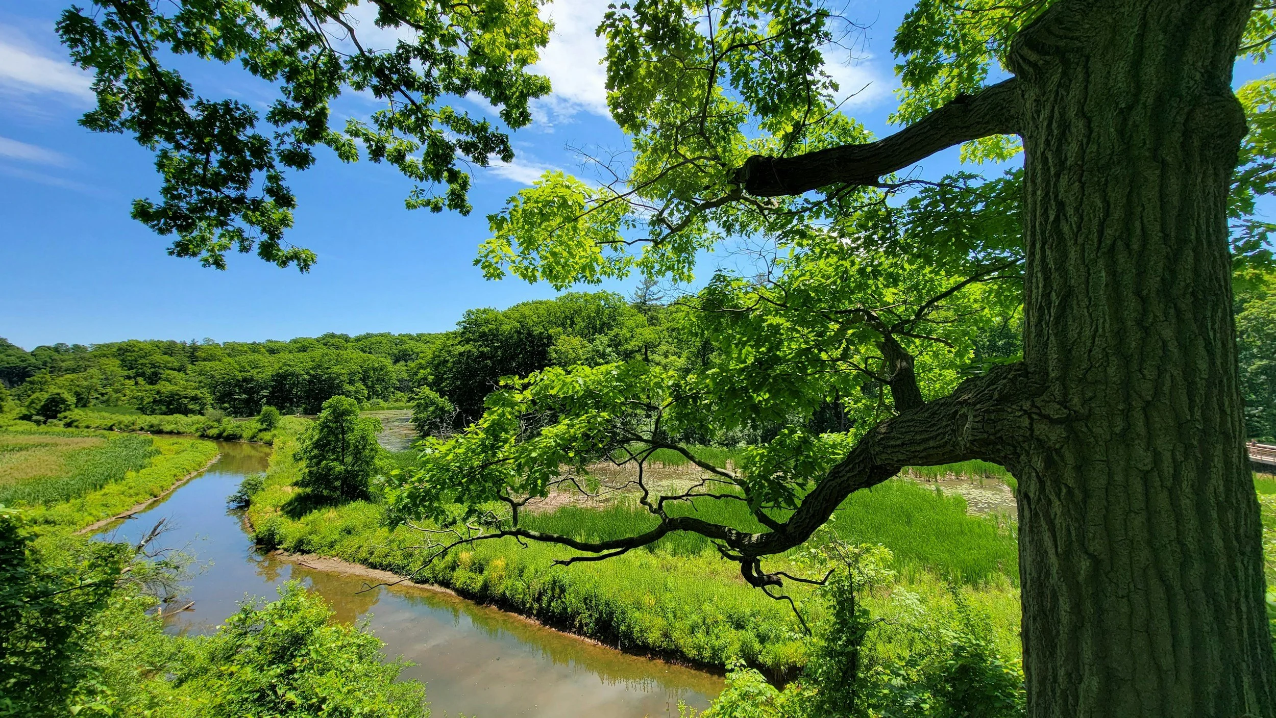 IRS Cracking Down on Conservation Easement Tax Deductions: What Landowners and Investors Need to Know
