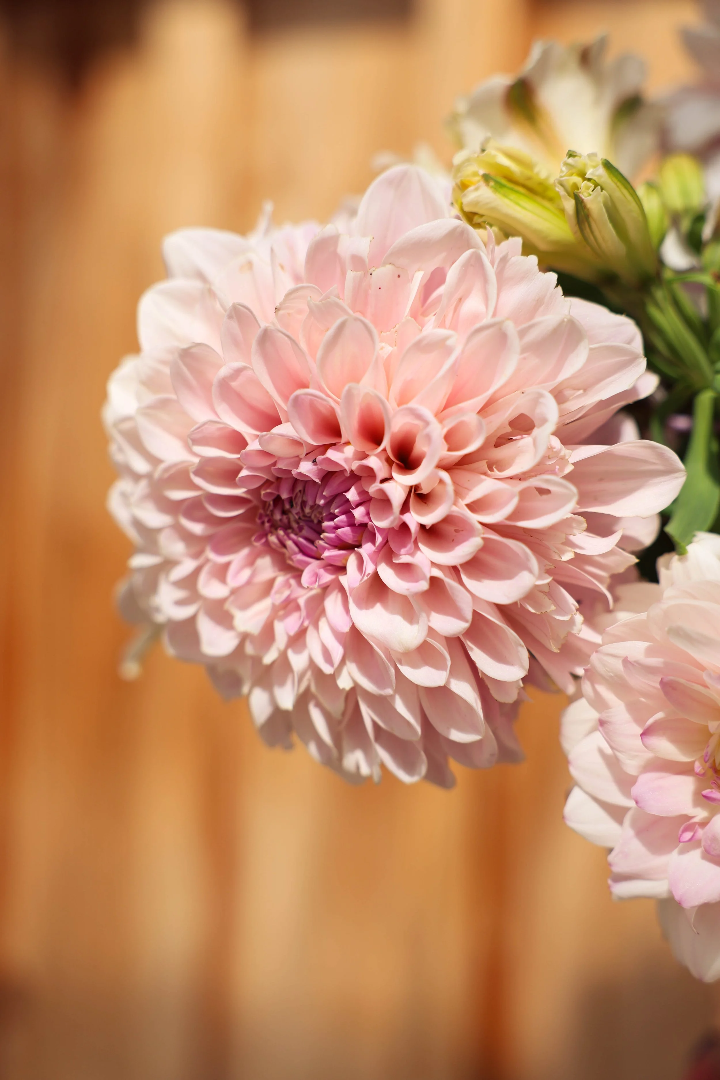 761A9108.jpg