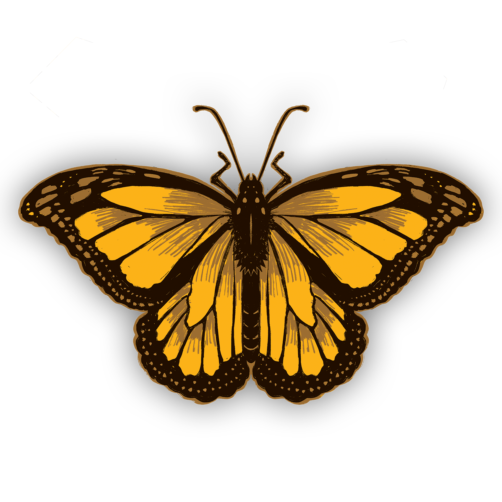 Blog_Butterfly_Logo_transparent2_2.png