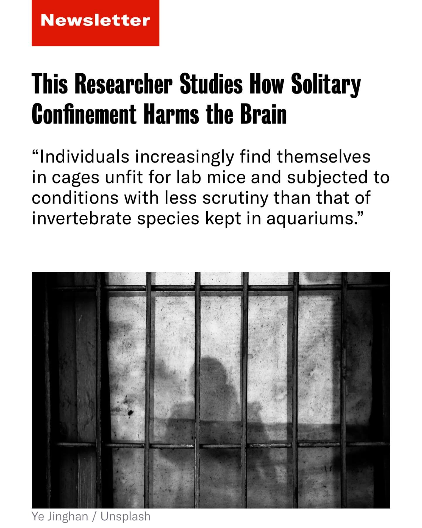 The research took off so much I didn&rsquo;t keep up with IG, but things are picking up again and need a central hub. More exciting opportunities like this article with The Appeal coming soon. 🔗 Link to full article in comments.