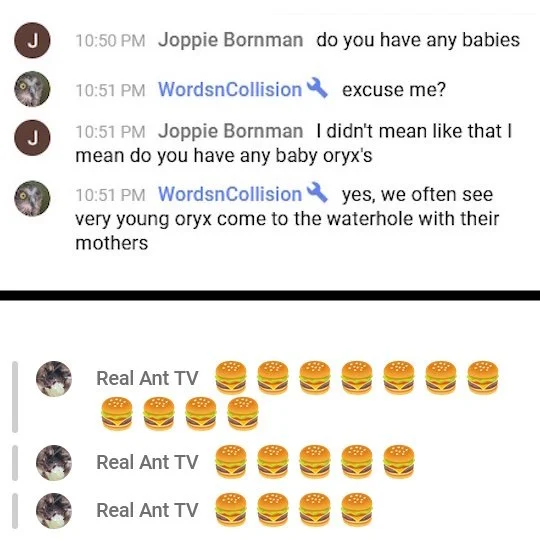 540babies.jpg