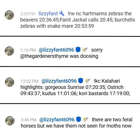 540lizzy4a.jpg