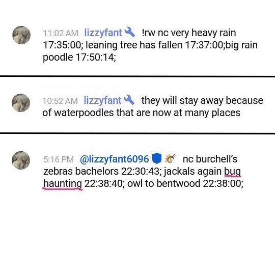 540lizzy4b.jpg