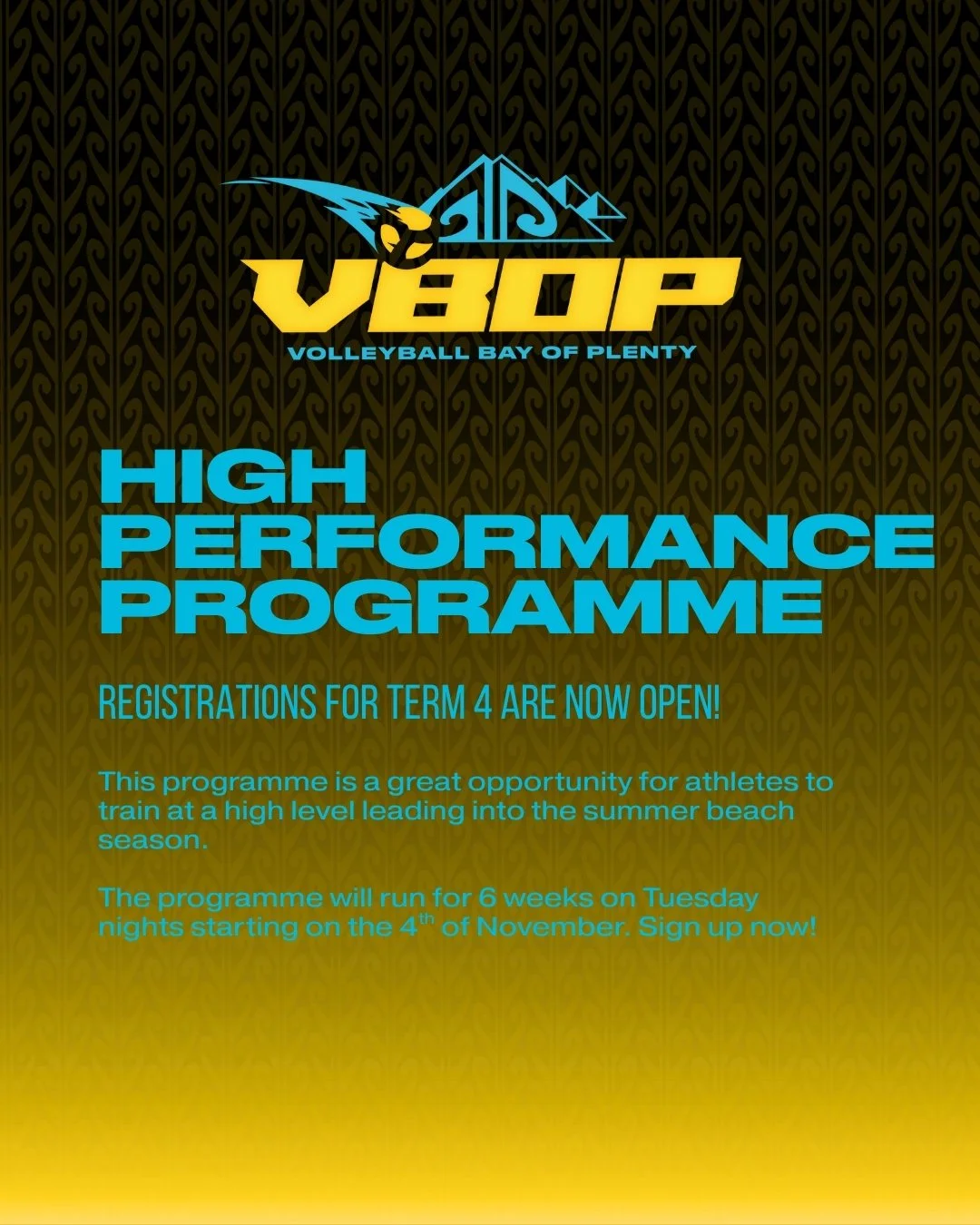 Registrations are now open for our High Performance Beach Programme! This is a great opportunity for athletes in years 11-13 to gain some great experience and be coached at a high level! 

When (all Tuesday nights):
November: 4th, 11th, 18th and 25th