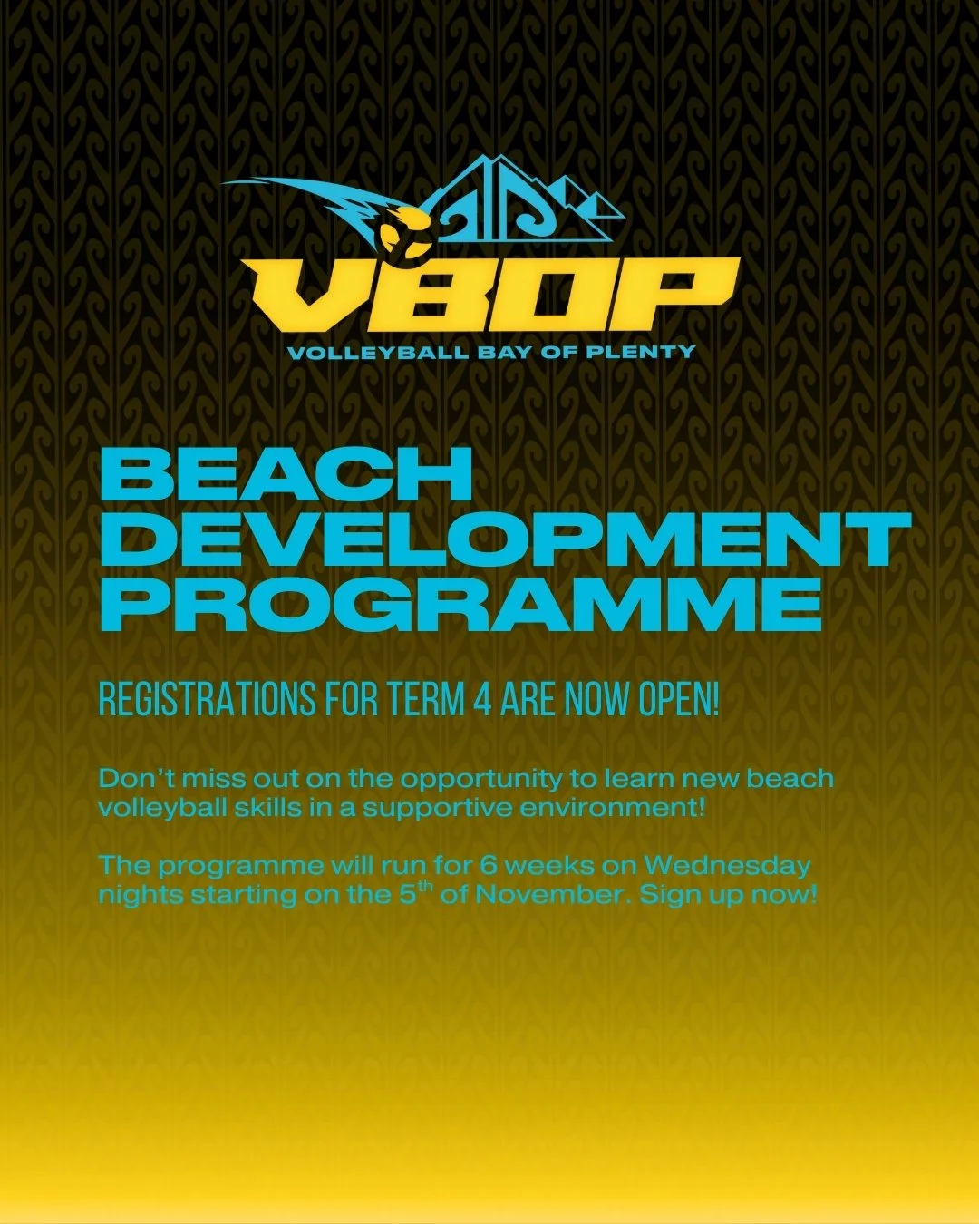 Registrations for our Beach Development Programme are now open! This programme is perfect for any student in years 7-10 who wants to develop their beach volleyball skills. 

When (all Wednesday nights): 
November: 5th, 12th, 19th, and 26th.
December: