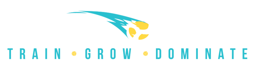 Logo featuring a stylized jaguar's head in blue and yellow, with the words 'Train Grow Dominate' underneath.