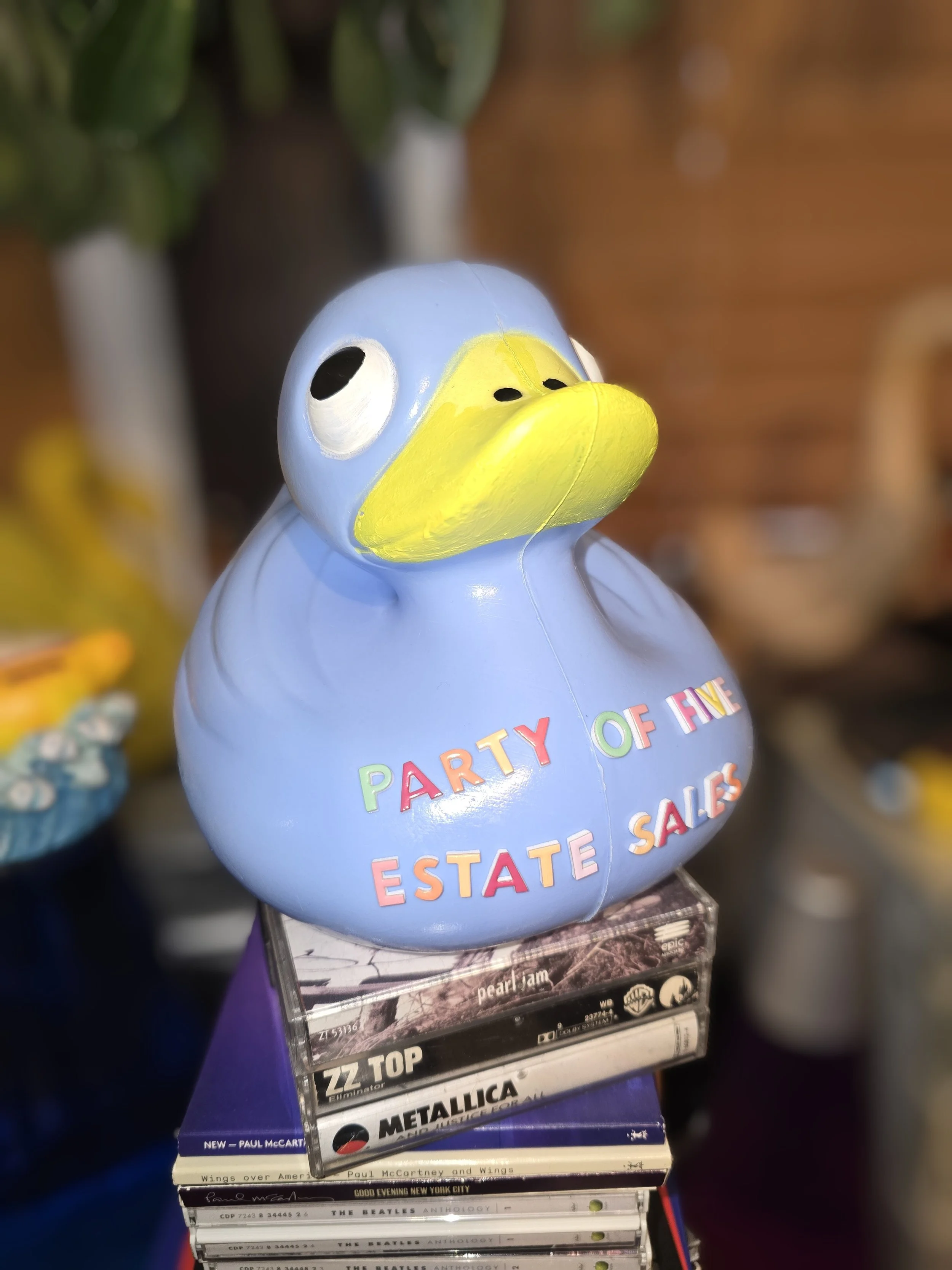 P.jpg