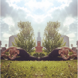Symmetric image of two cats lying on the grass, facing each other, with trees and a cityscape in the background.