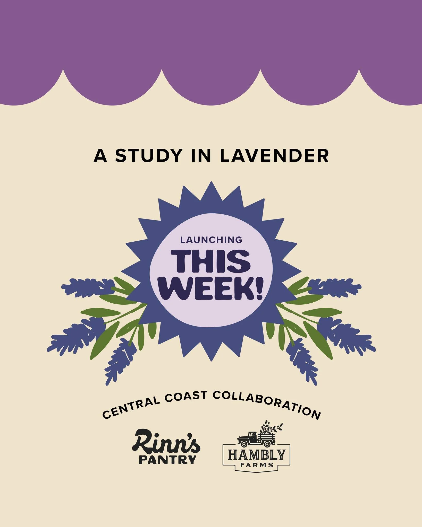 Lavender is the main character in our trio of blends launching this week! We are thrilled to be in collaboration with @hambly_farms - Their culinary lavender is so lovely, fragrant, and easy to use as a special ingredient in your Spring / Summer cook