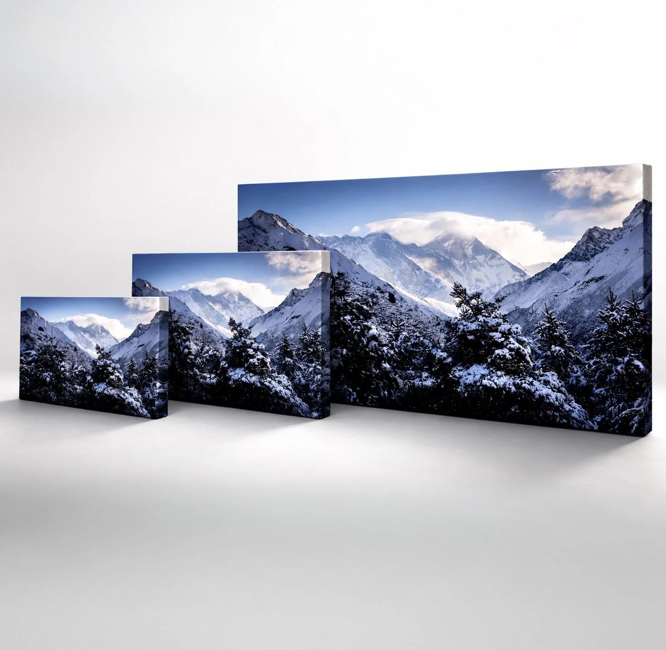Canvas Prints